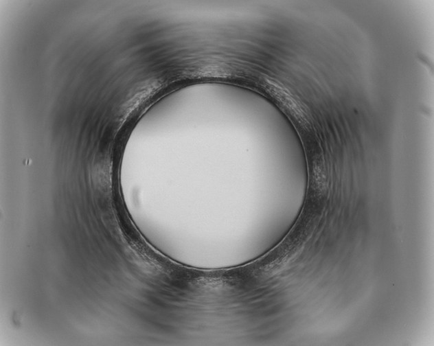 X0000091530534200708171223