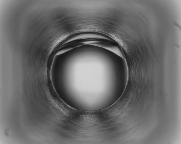 X0000091530535200708171223