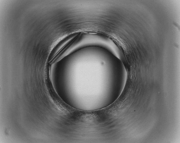 X0000091530536200708171223
