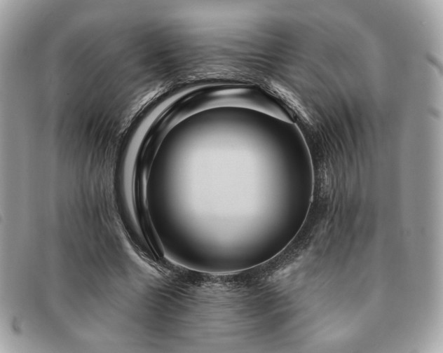 X0000091530538200708171223