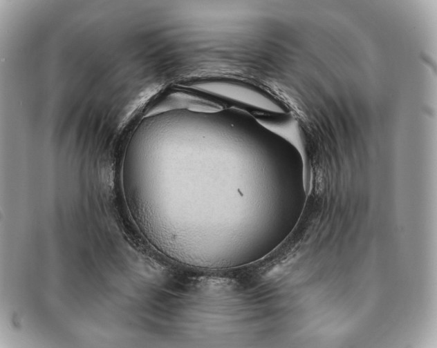 X0000091530539200708171223