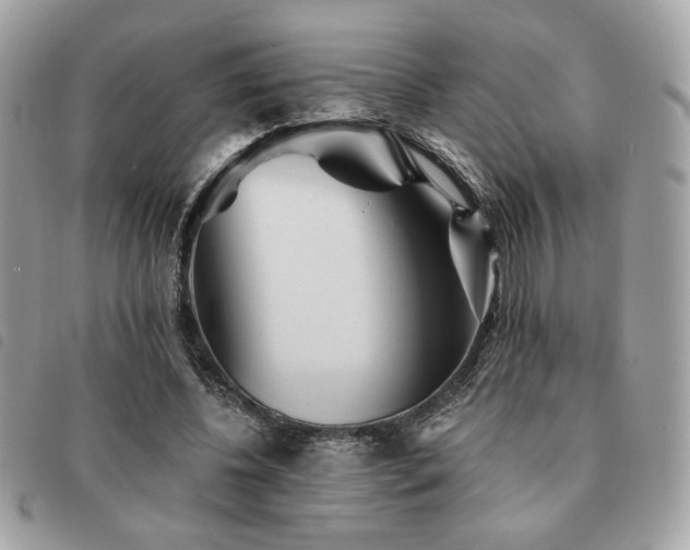X0000091530540200708171223