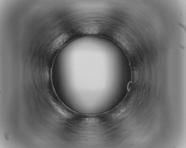 X0000091530541200708171223