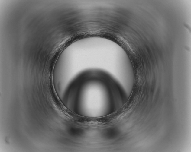 X0000091530542200708171223