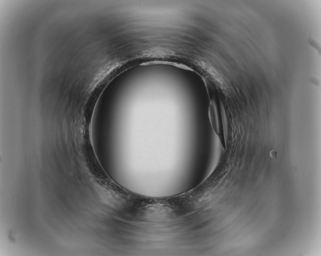 X0000091530544200708171223
