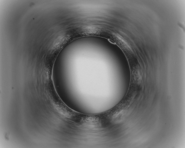 X0000091530546200708171223