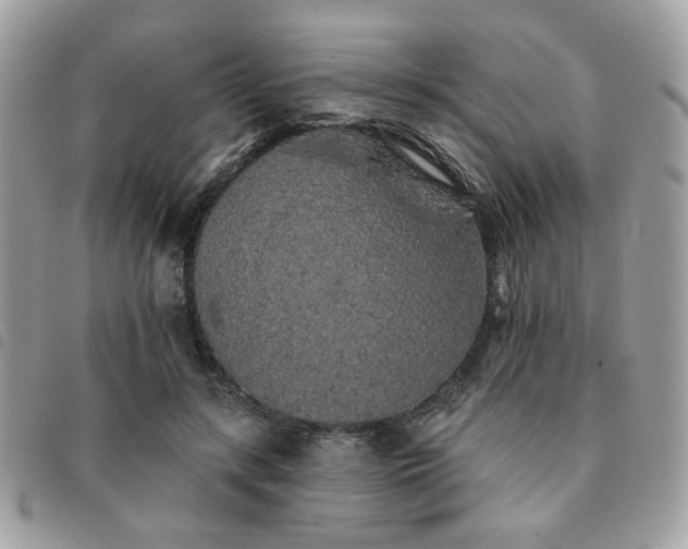 X0000091530547200708171223
