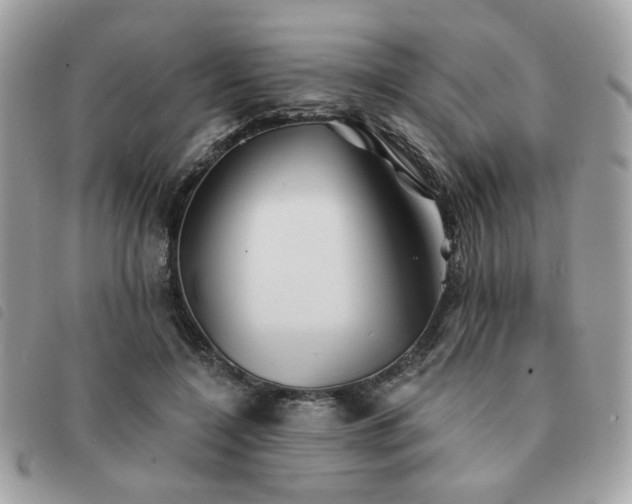 X0000091530548200708171223