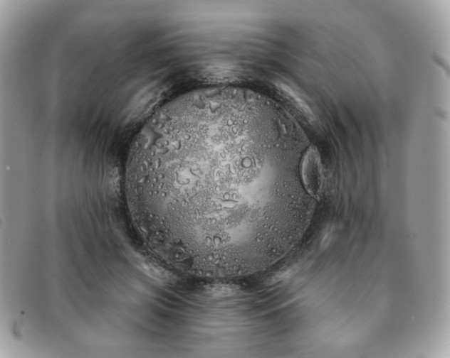 X0000091530549200708171223