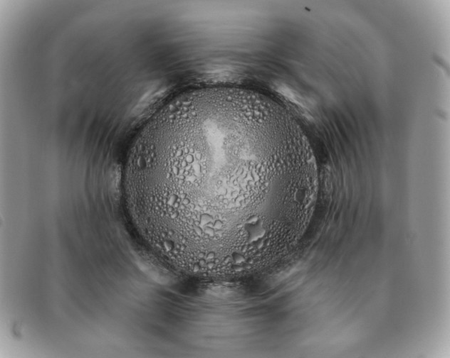 X0000091530550200708171223