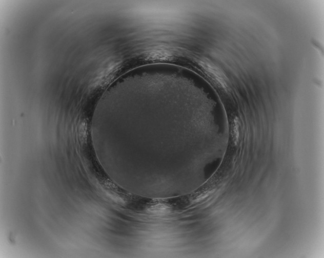 X0000091530551200708171223