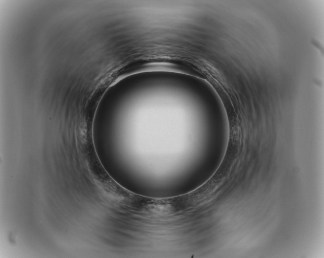 X0000091530552200708171223