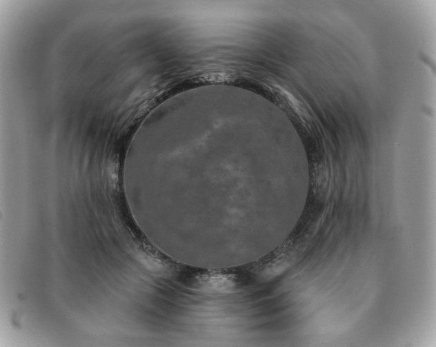 X0000091530553200708171223