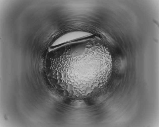 X0000091530554200708171223