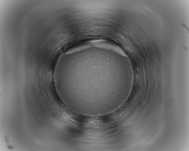 X0000091530555200708171223