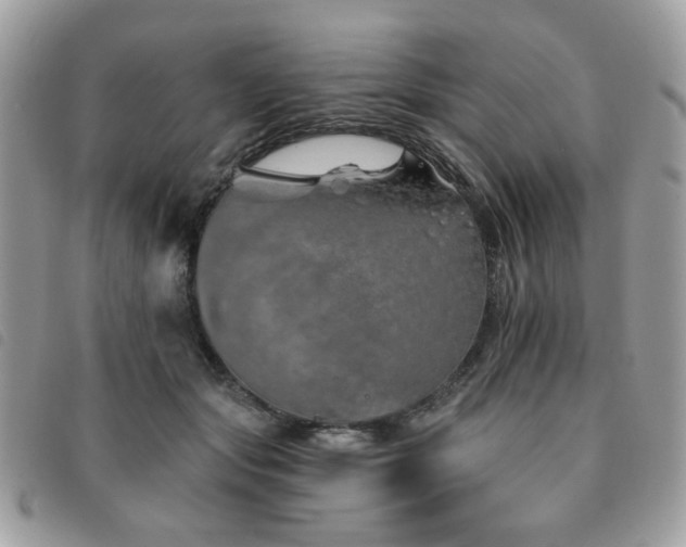 X0000091530557200708171223