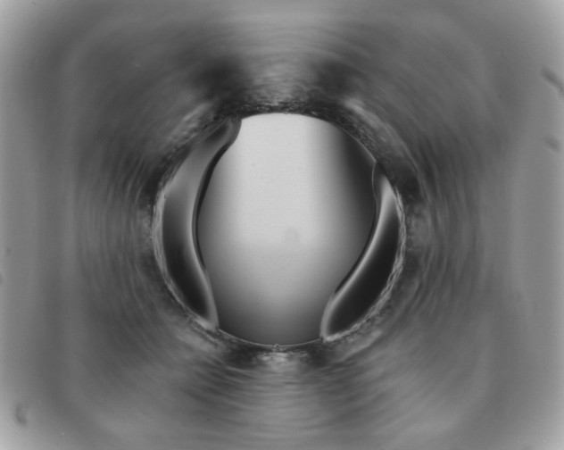 X0000091530558200708171223