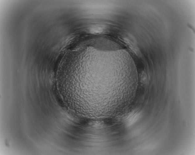 X0000091530559200708171223