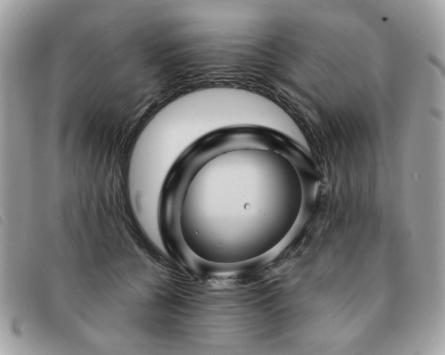 X0000091530560200708171223