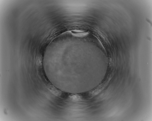 X0000091530561200708171223