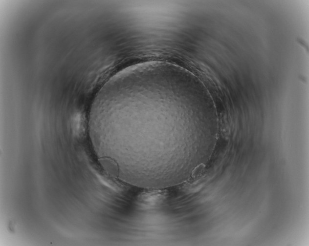 X0000091530563200708171223