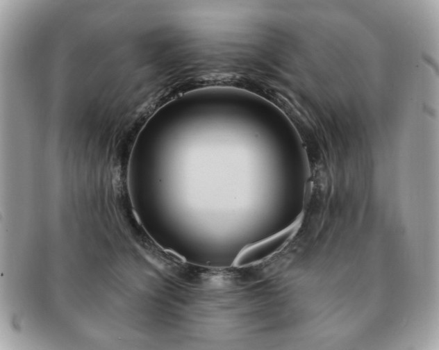 X0000091530564200708171223