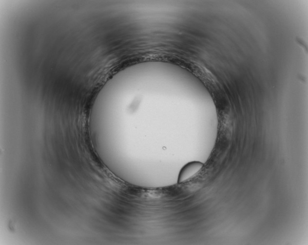 X0000091530565200708171223