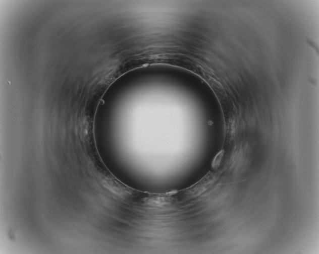 X0000091530567200708171223