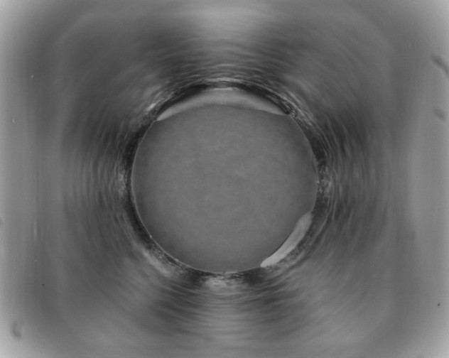 X0000091530568200708171223