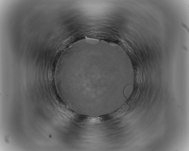 X0000091530569200708171223