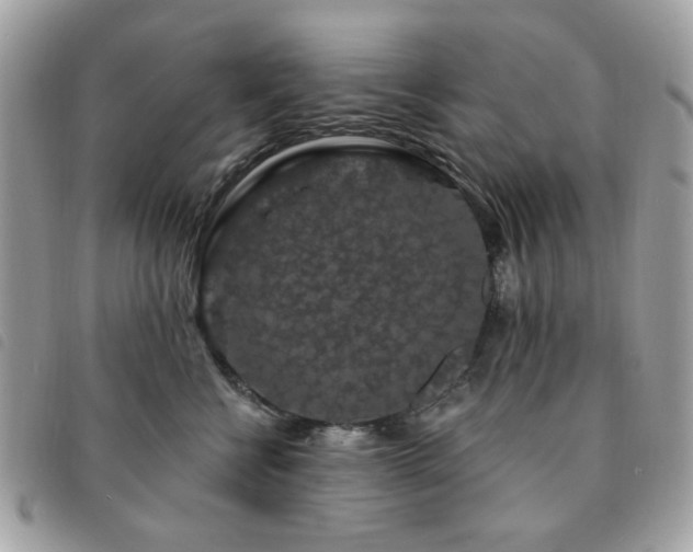 X0000091530570200708171223