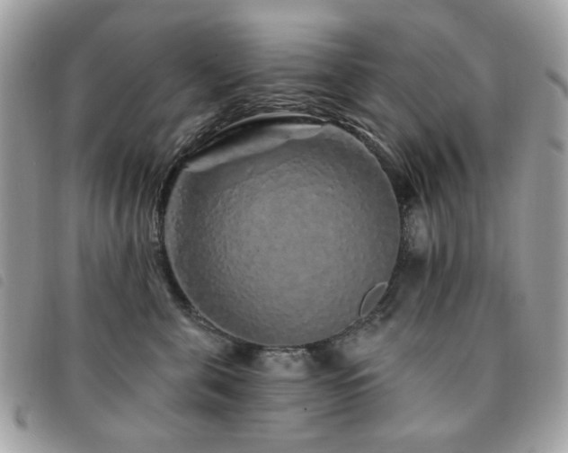 X0000091530571200708171223