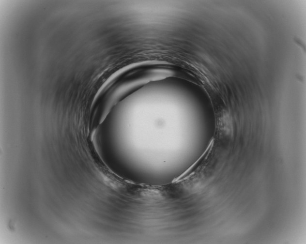 X0000091530572200708171223