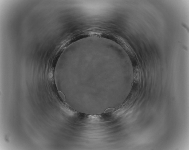 X0000091530573200708171223