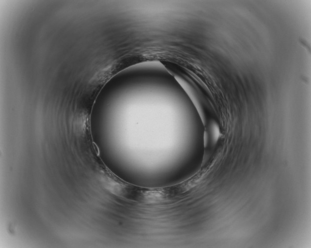 X0000091530574200708171223