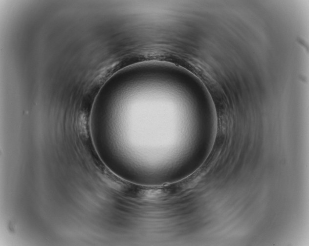 X0000091530575200708171223