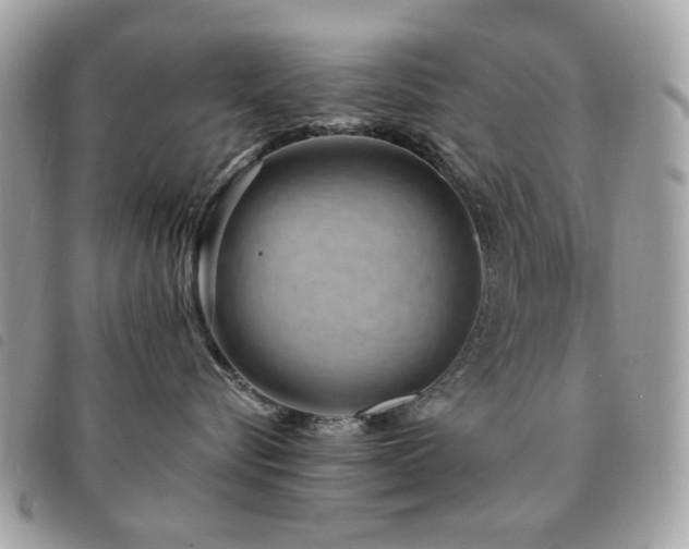 X0000091530576200708171223