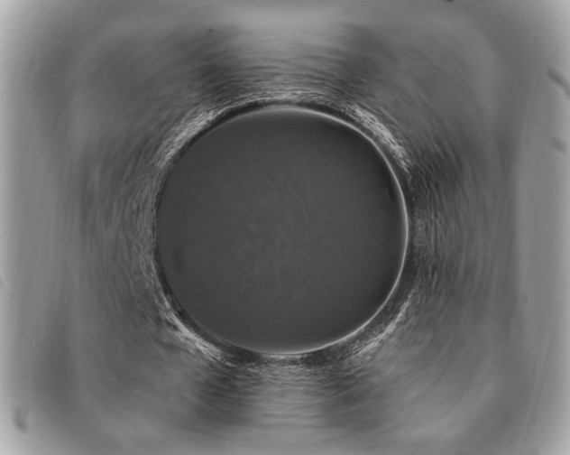 X0000091530577200708171223