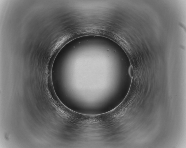 X0000091530578200708171223