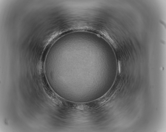 X0000091530579200708171223