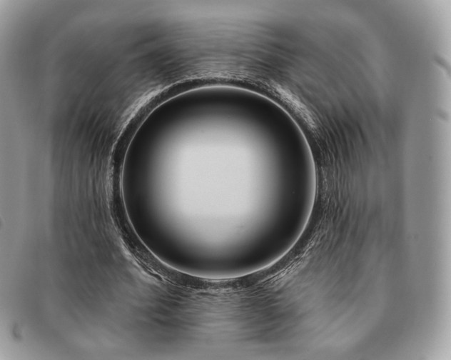 X0000091530580200708171223