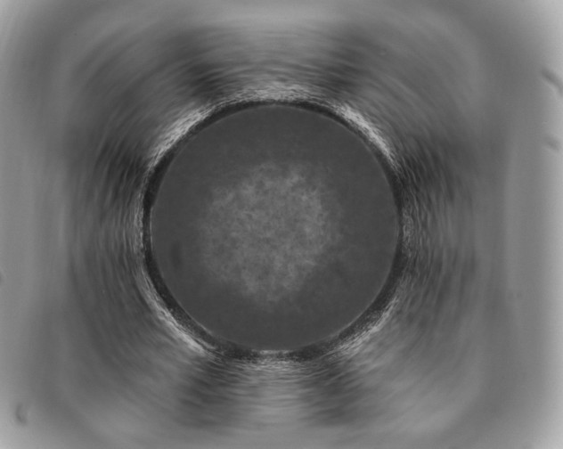 X0000091530581200708171223