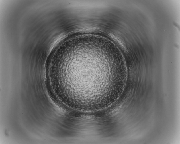 X0000091530582200708171223