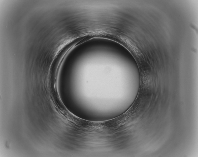X0000091530583200708171223
