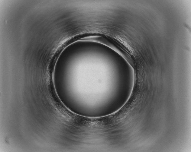 X0000091530584200708171223
