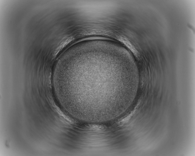 X0000091530585200708171223