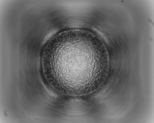 X0000091530586200708171223