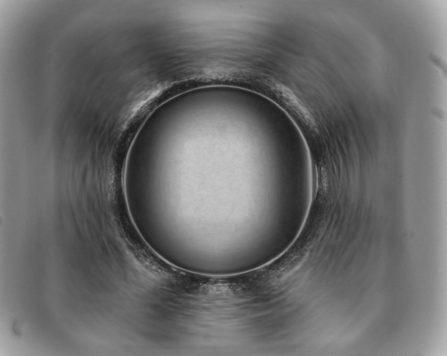 X0000091530588200708171222