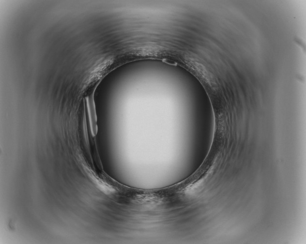 X0000091530589200708171222