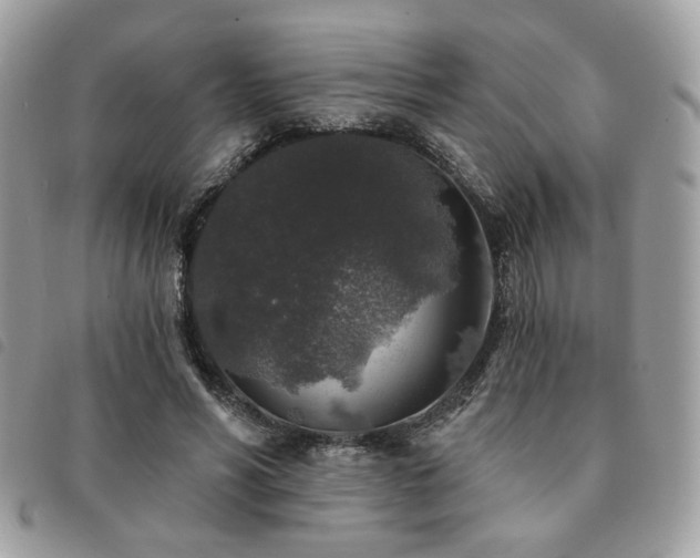 X0000091530590200708171222